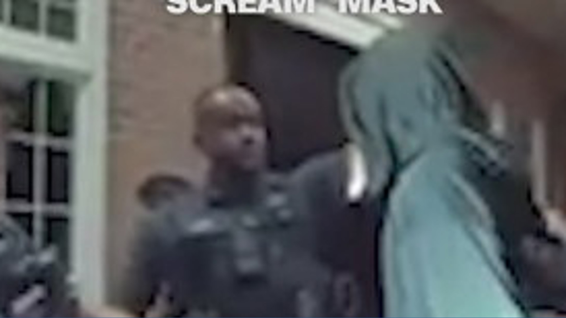 Man arrested in Scream mask