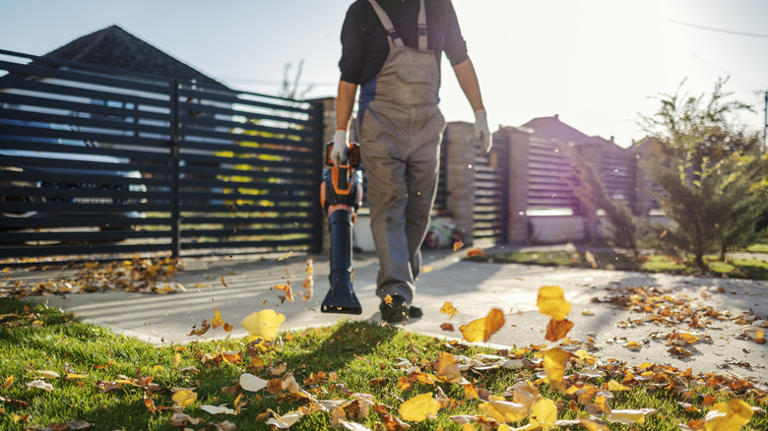 Consumer Reports' highest-rated handheld gas leaf blower knocks Stihl ...