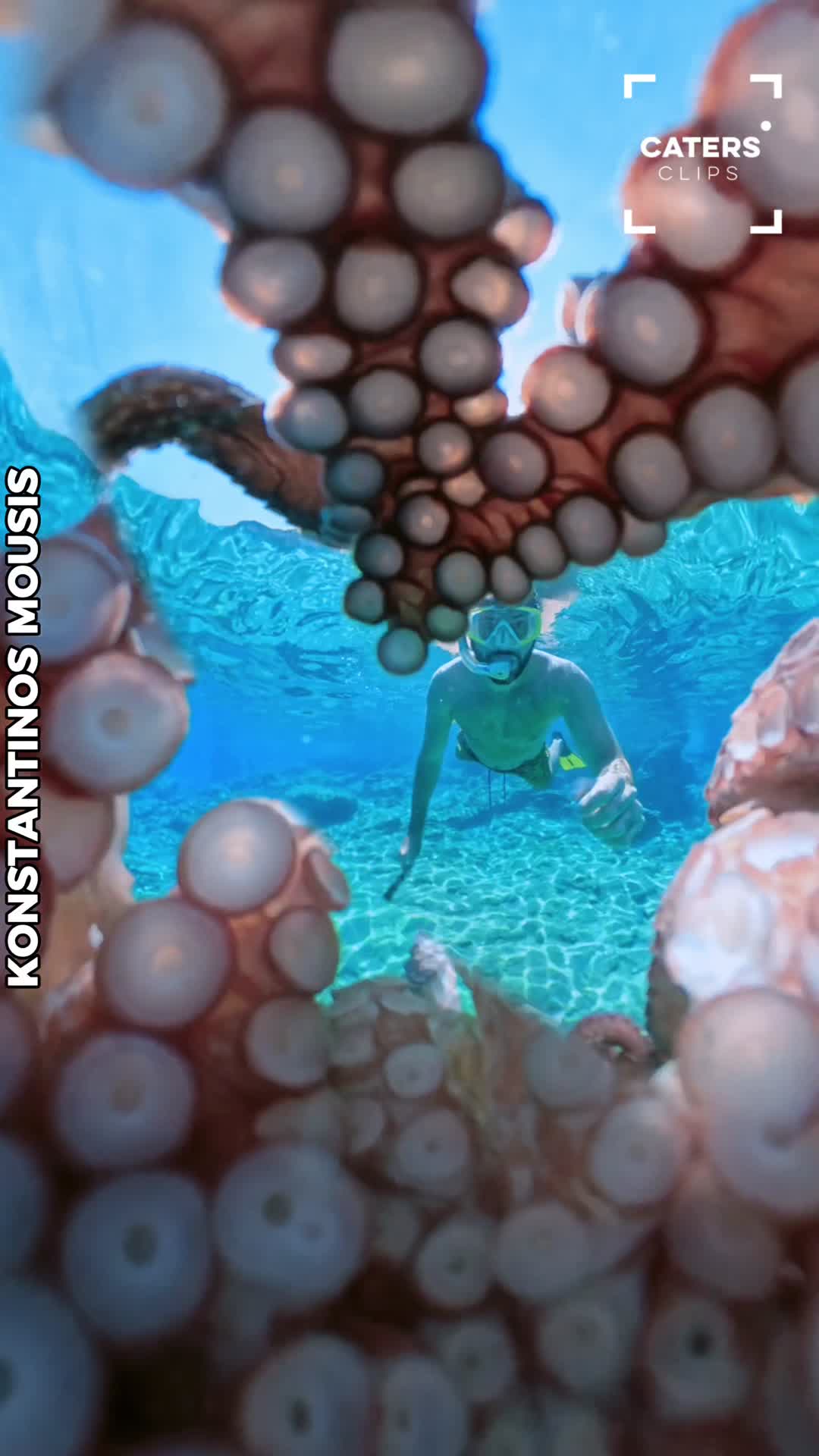 Diver comes face-to-face with curious octopus in a surprising plot twist