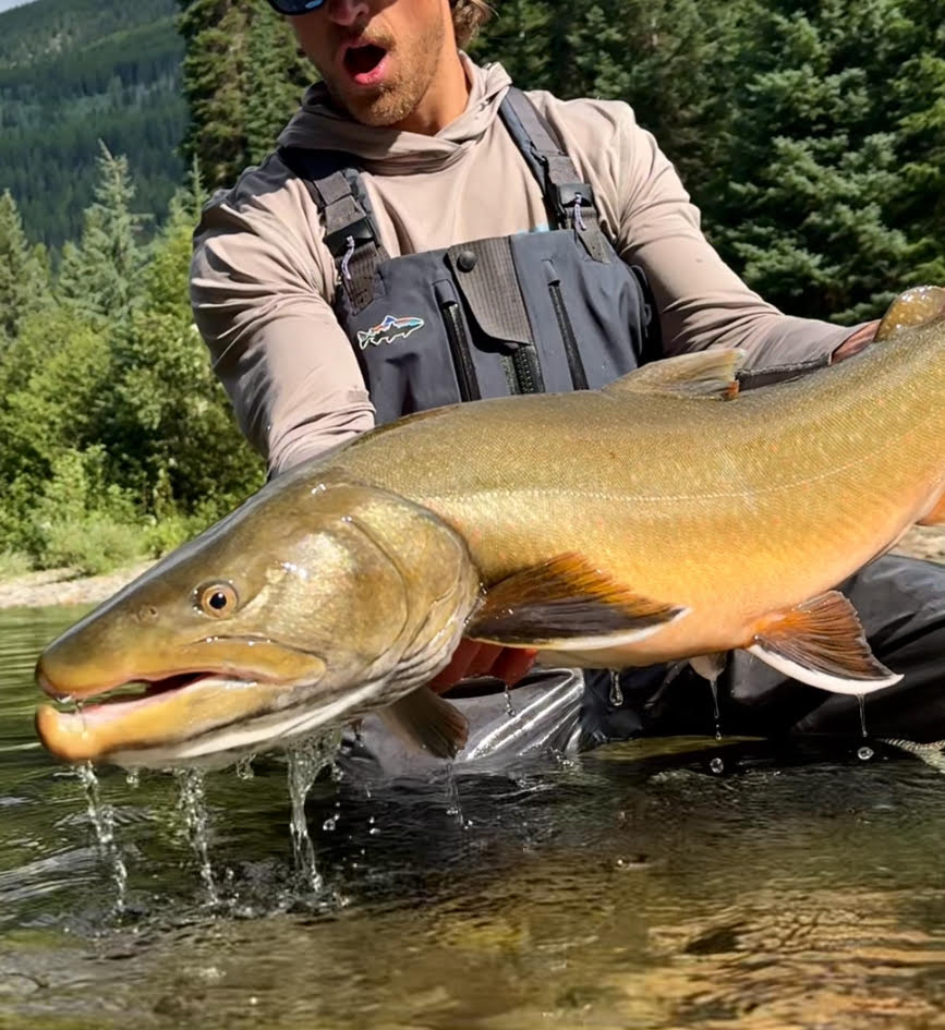 The stars align for a bull trout of a lifetime