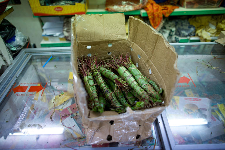 Large quantities of khat have been seized at several US airports in recent months (AFP via Getty Images)