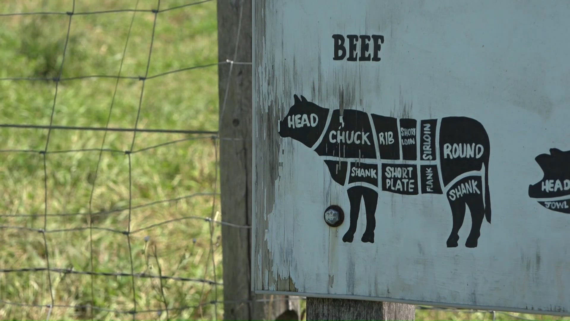 Trump administration considering changes to meat processing. What does ...