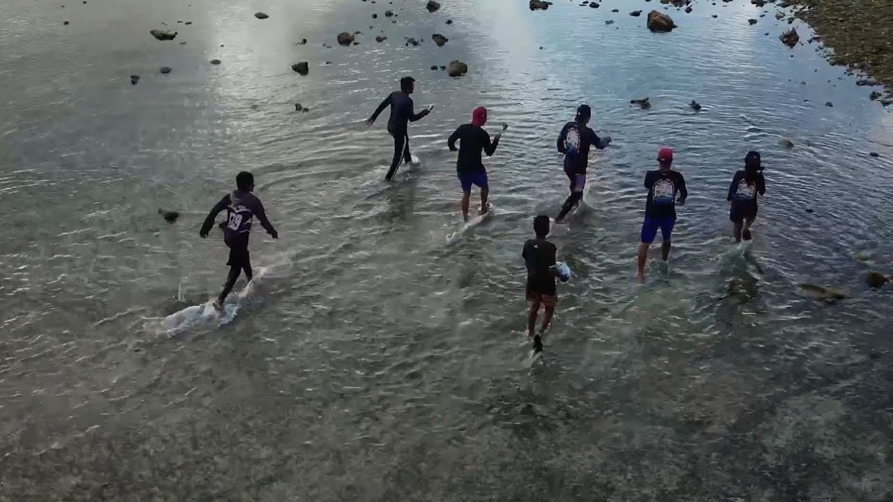 Shallow water swarmed with fish