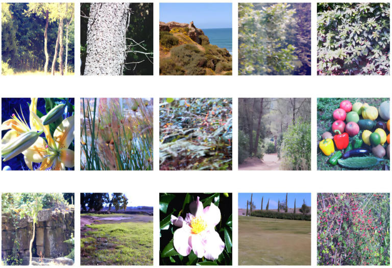 Nature's color palette explains why everything we see is a mix of red ...