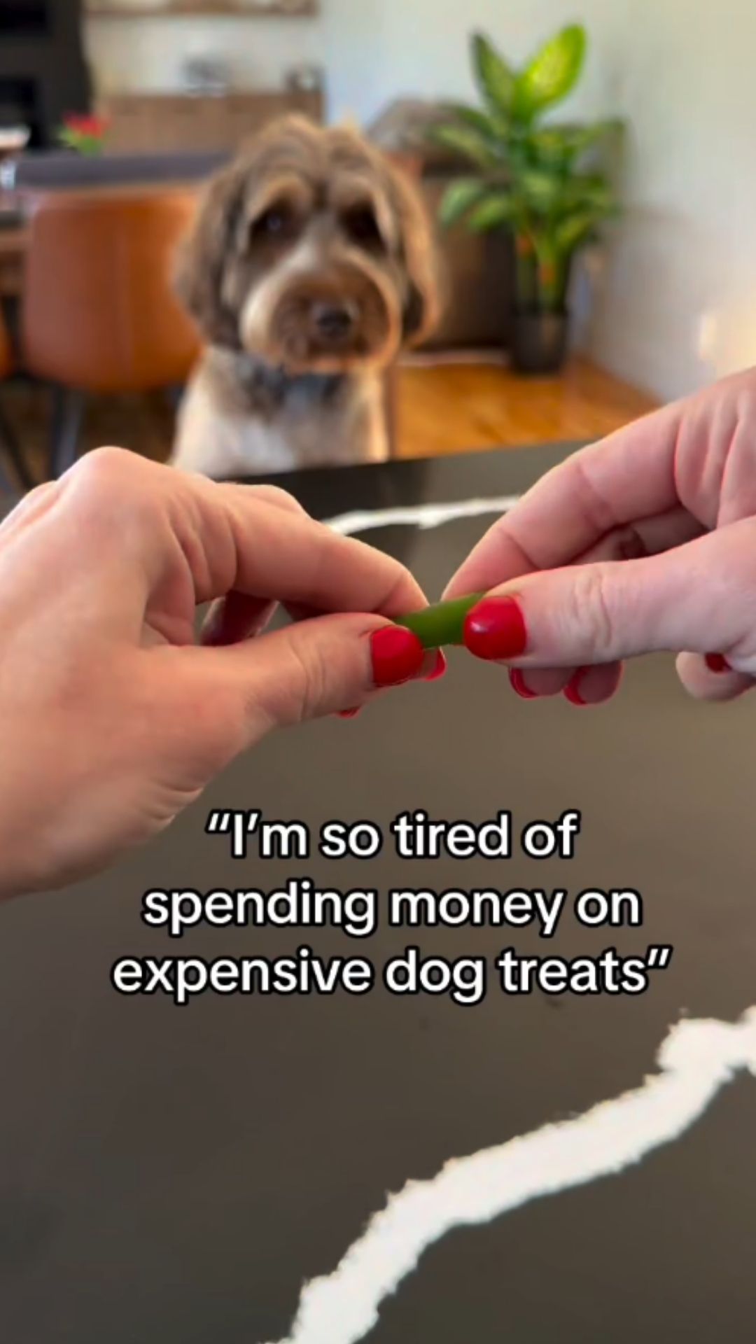 250 homemade dog treats for better value
