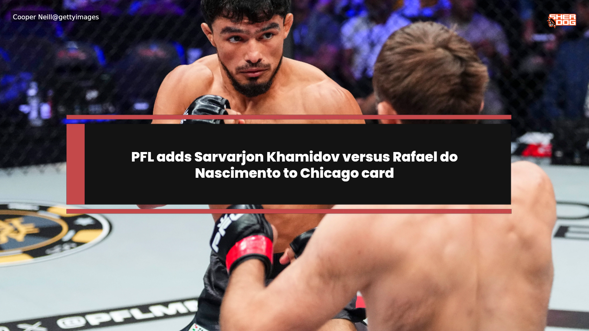 PFL adds Sarvarjon Khamidov versus Rafael do Nascimento to Chicago card