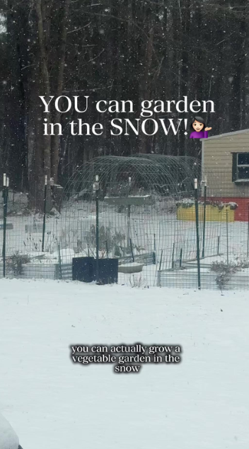 Winter gardening tips for growing food in snow