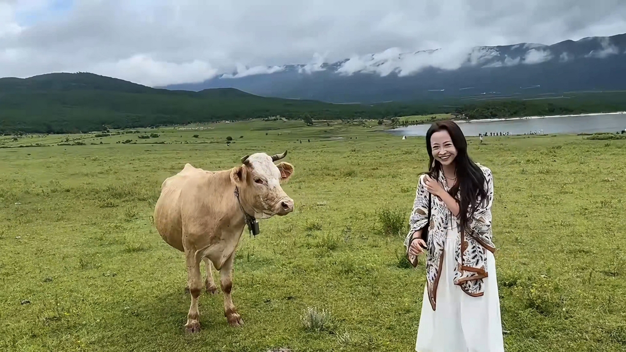 Cow gently nudges laughing woman in Yunnan field