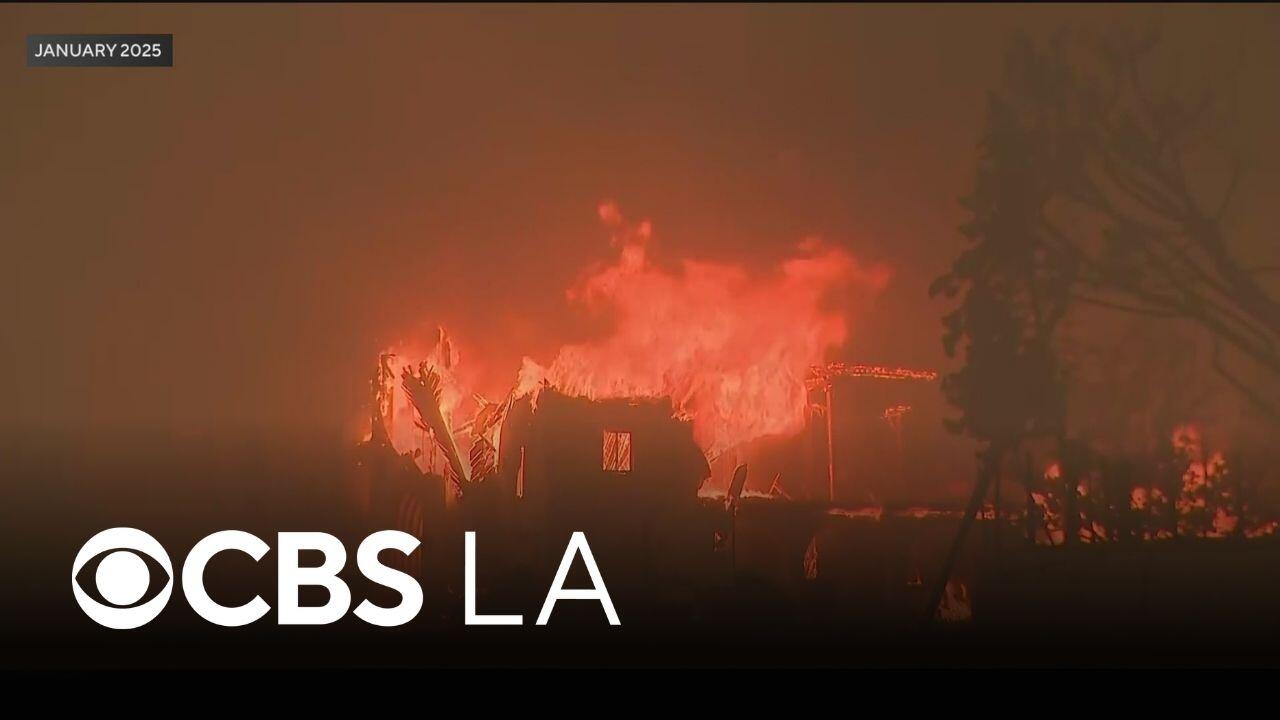 LA County sues State Farm for allegedly mishandling wildfire insurance ...
