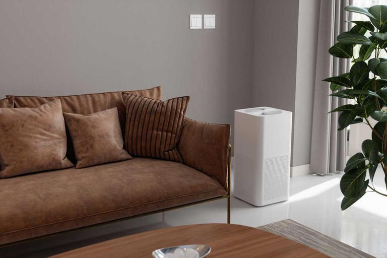 Adding this device to your home could quietly be boosting your brain ...