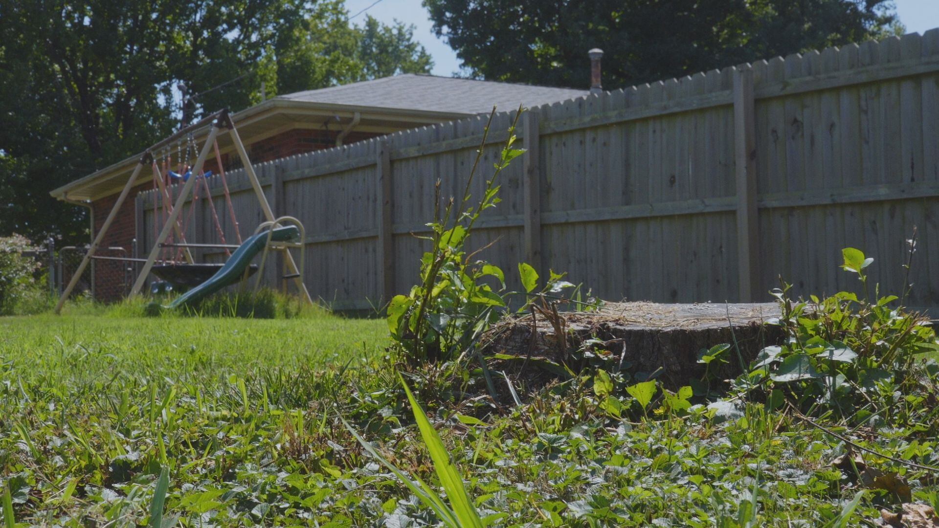 On your side: Missouri attorney general investigating Illinois tree ...
