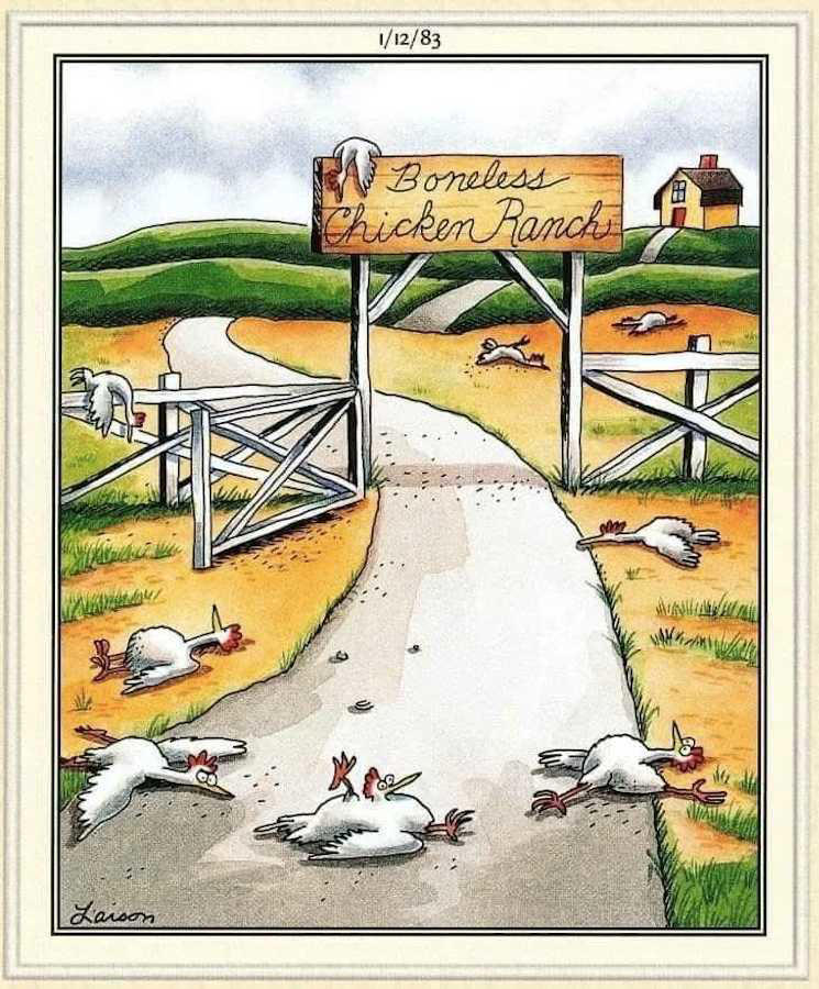 7 best Far Side comics with the worst puns
