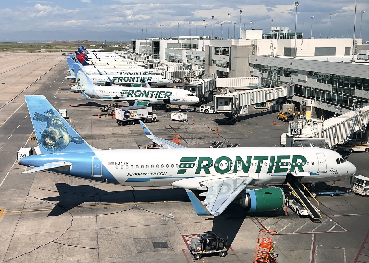 The airline CEO filling a Spirit-sized hole in the market