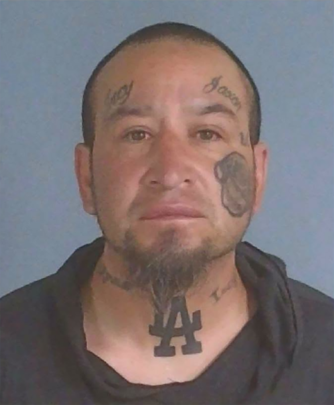 Man went missing after hitchhiking arrest, Siskiyou sheriff says