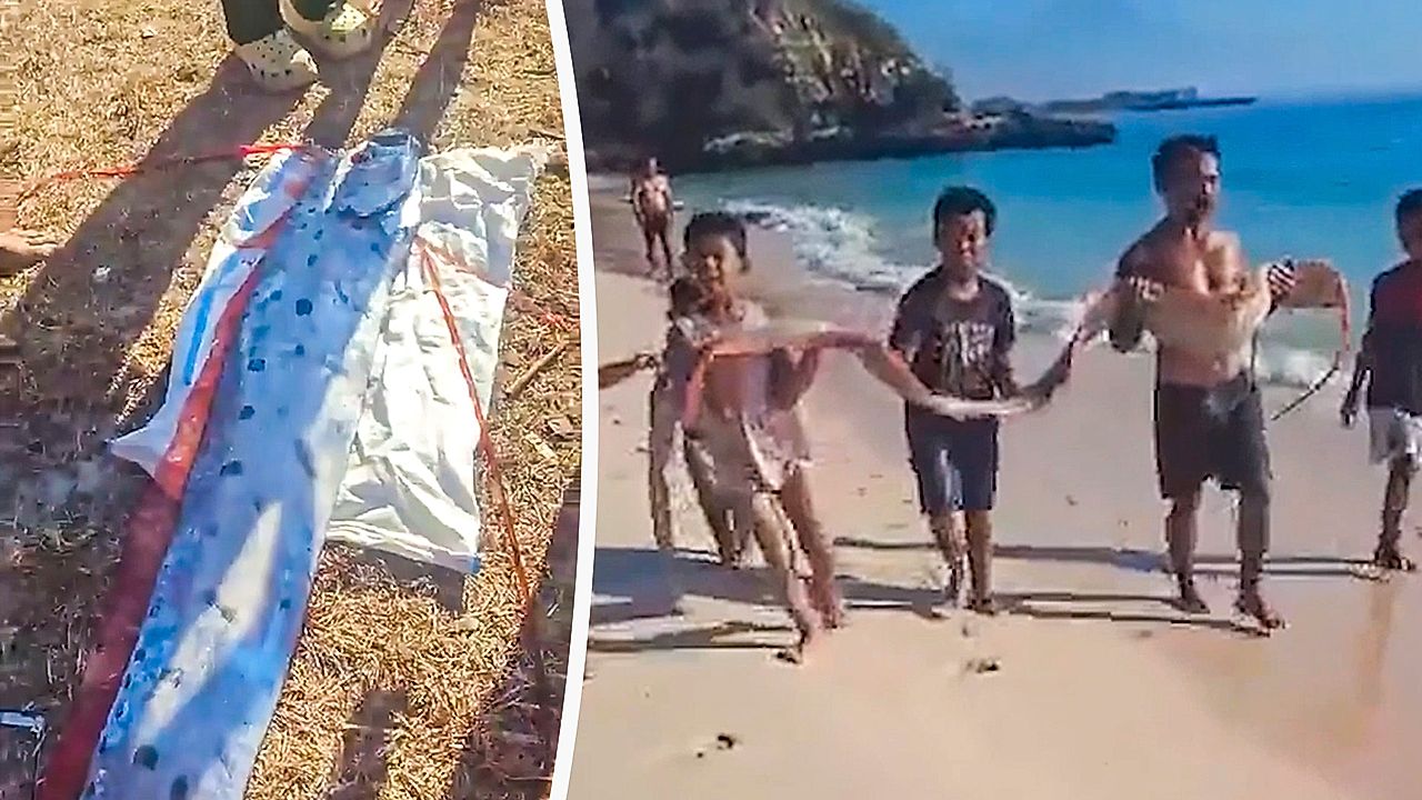 Rare 'doomsday fish' washes up on Indonesian beach