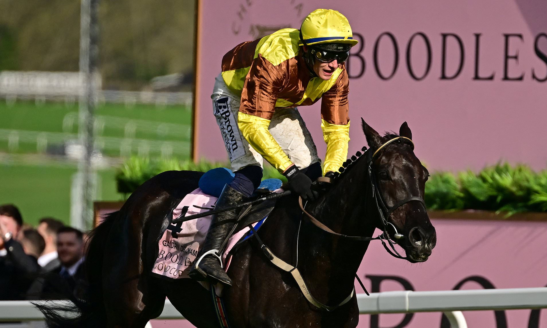 Two-time Cheltenham Gold Cup winning horse Galopin Des Champs dies less than a week into retirement