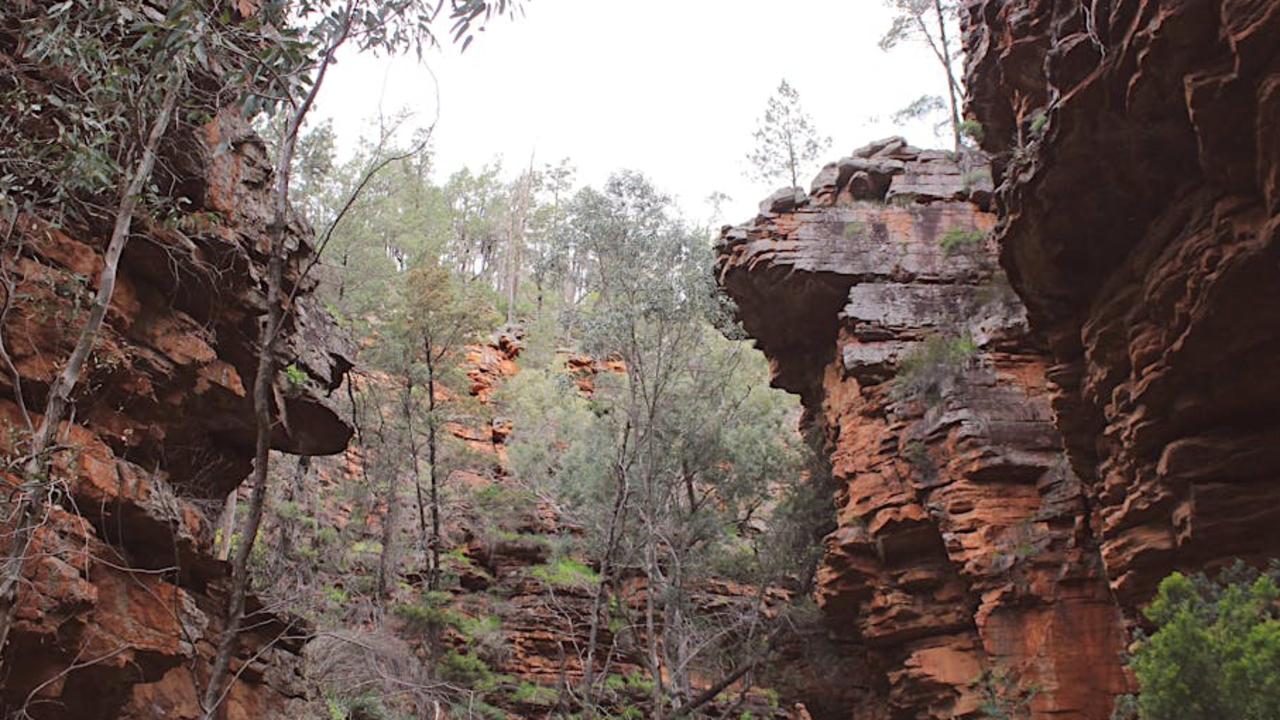 Huge update in search for missing hiker