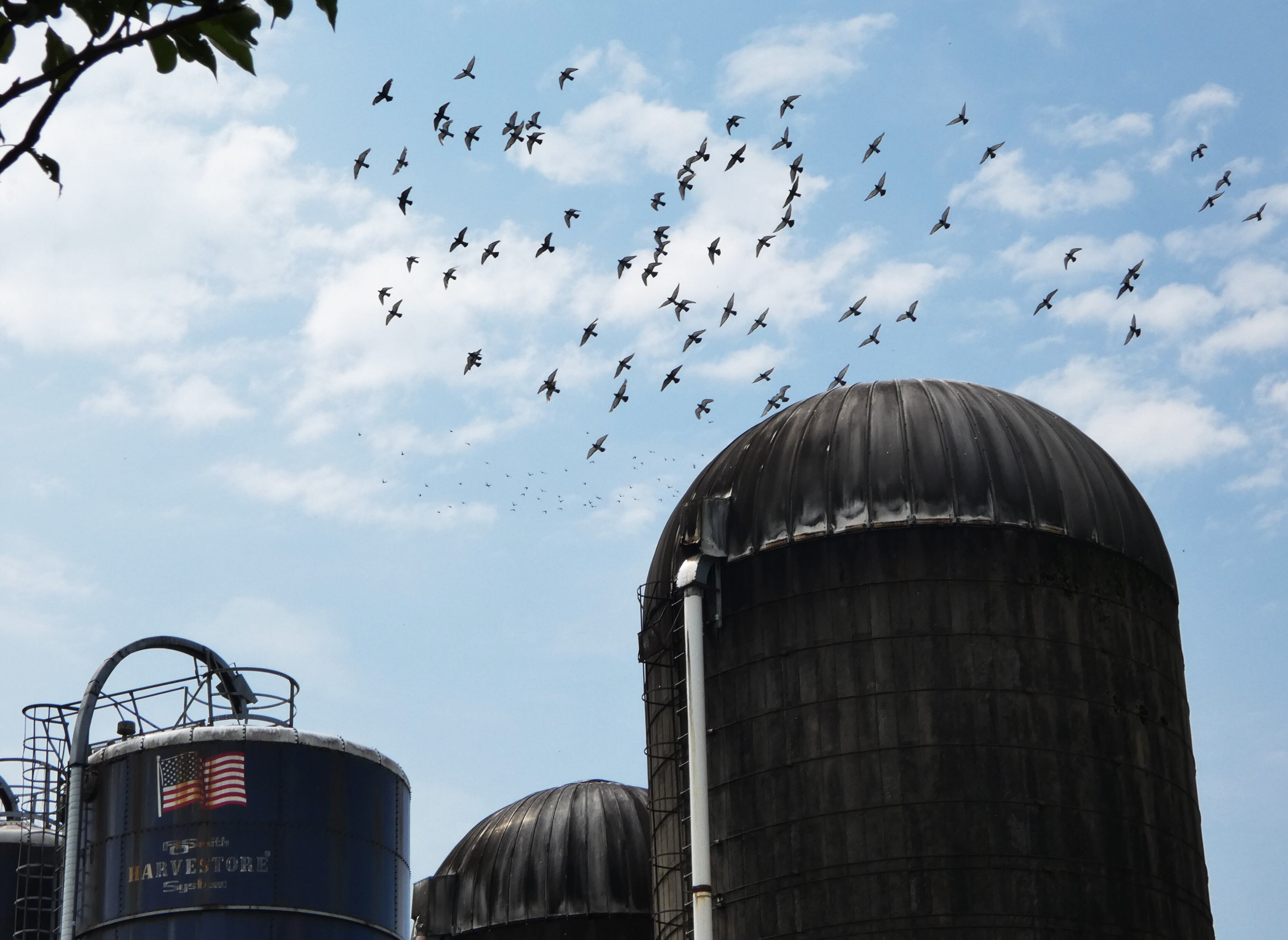 Chobani in Pa.: Overcoming challenges to land state’s biggest-ever ...