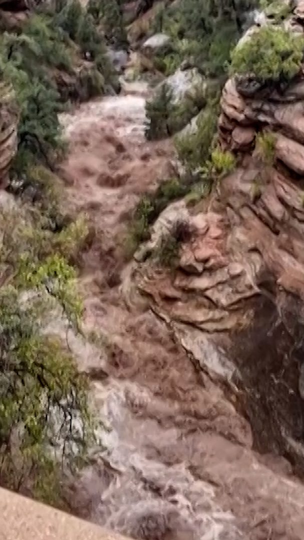 Video shows floodwater sweep through Zion National Park