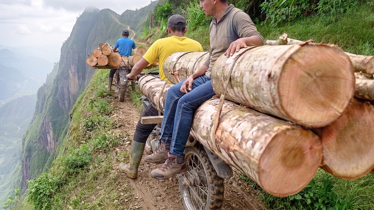 Riding the most risky log transport bikes of Indonesia