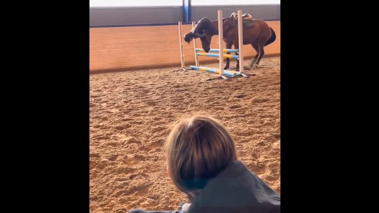 Horseback riding lesson ends in a hilarious tumble