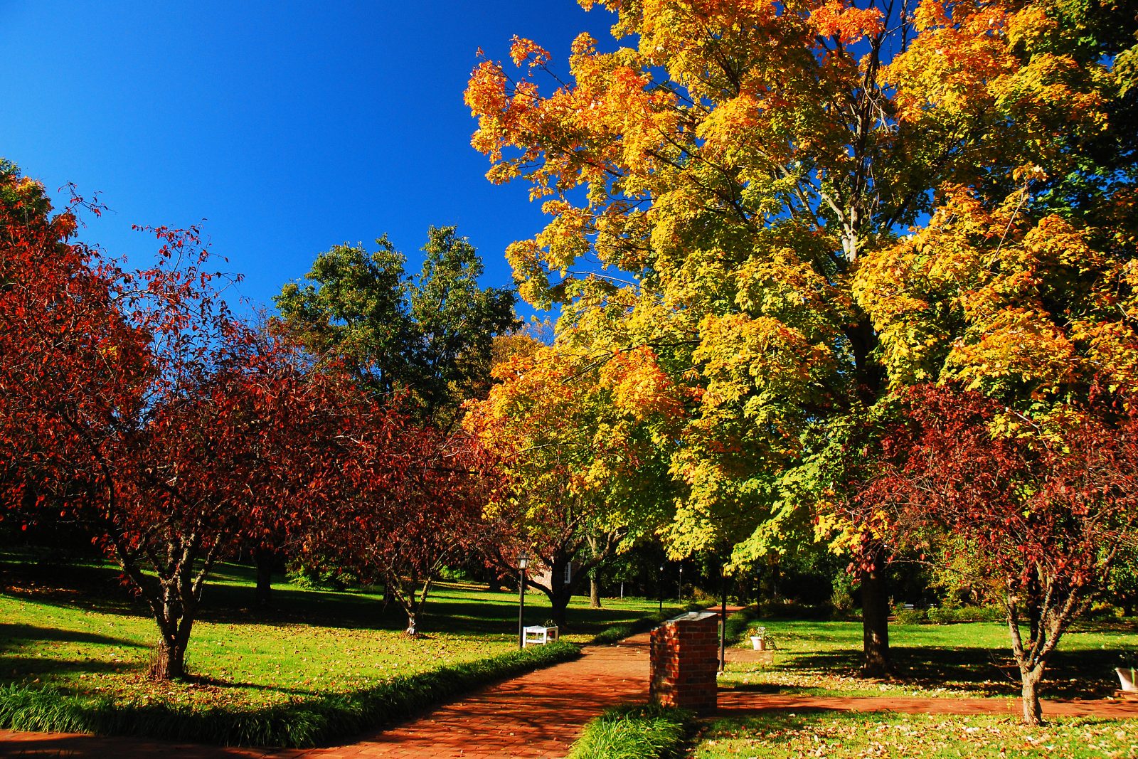 Bourbon and brilliant foliage make this Kentucky town the perfect fall escape