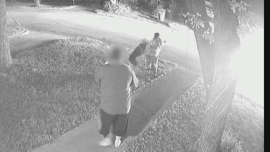 Fort Worth woman allegedly attacked by K-9 outside her home; months later, key questions remain