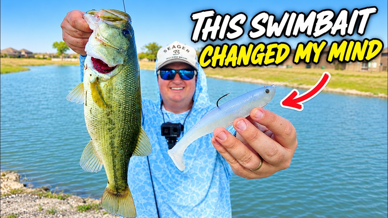 Big swimbaits trigger aggressive Texas bass strikes