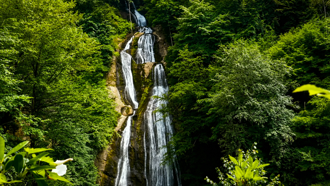 Vers bergwater stroomt door een zee van groen