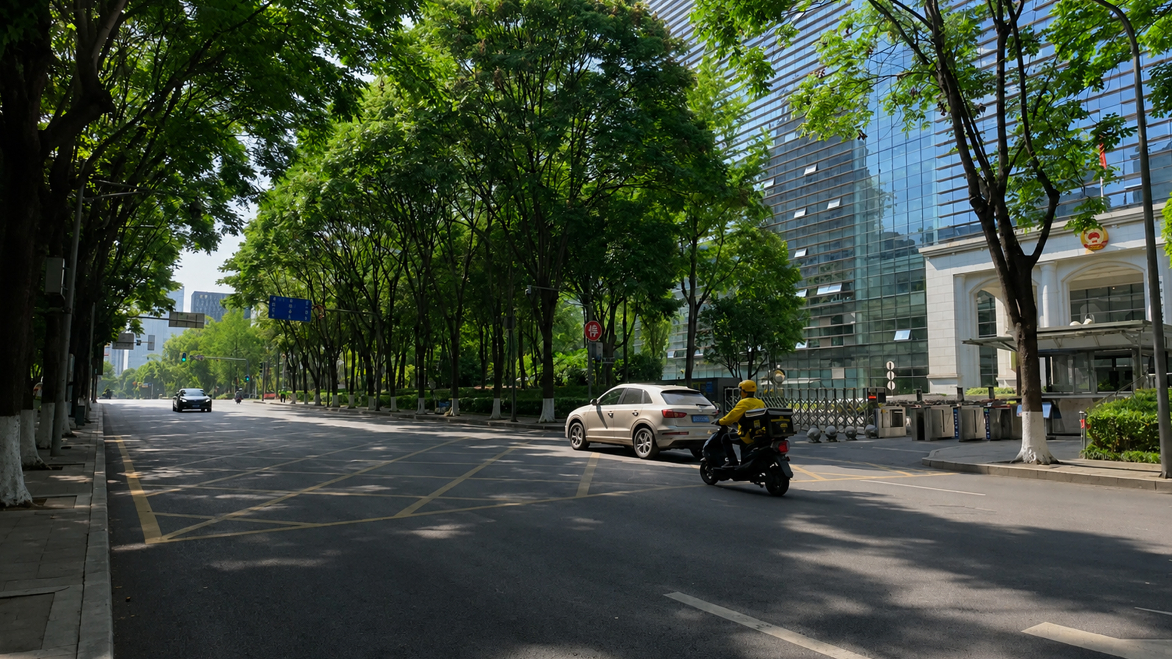 A shaded boulevard offers a refreshing escape from the urban heat