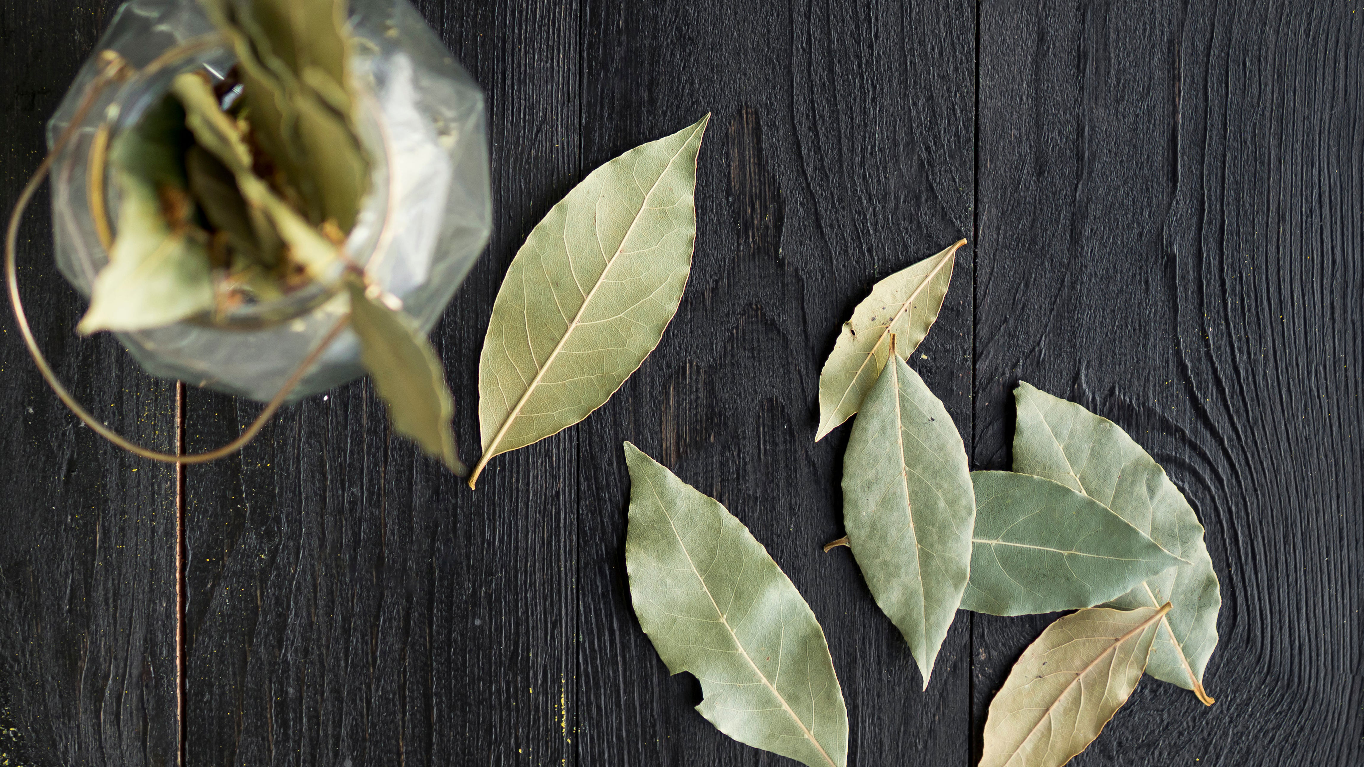 ¿Por qué algunas personas ponen una hoja de laurel en la funda de su ...
