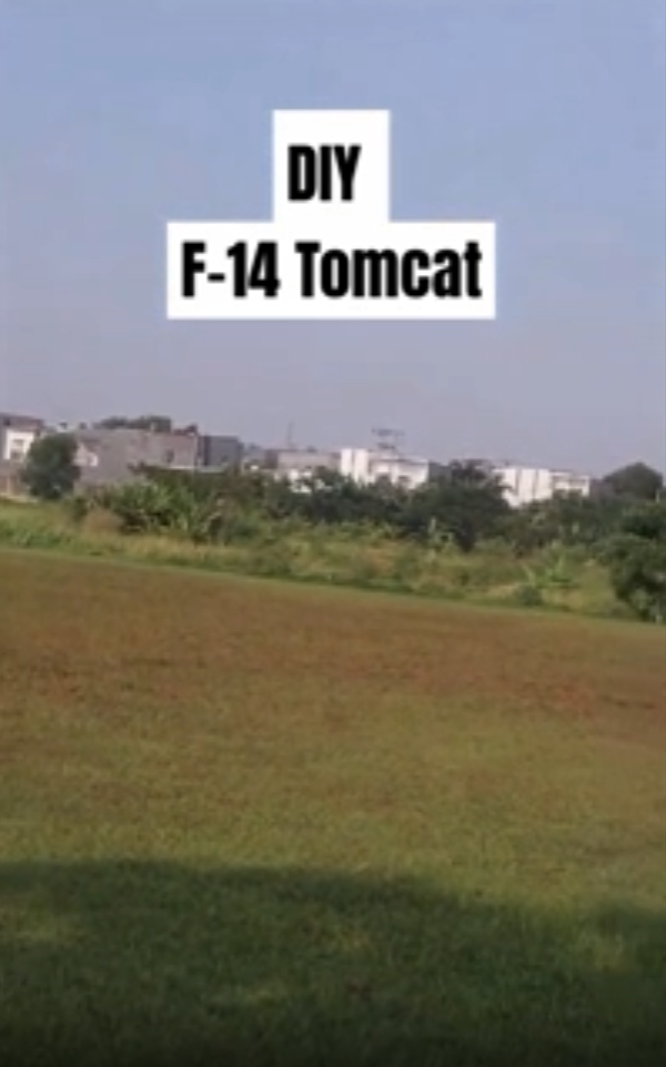 F-14 micro RC plane takes flight for the first time