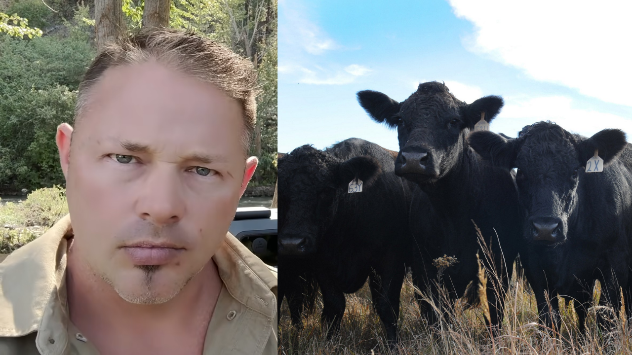 US cattle shortage and Argentine beef imports concern a homesteader