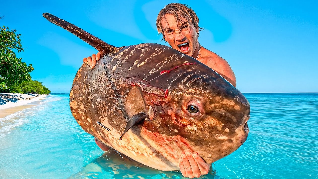He went into extreme ocean waters looking for food... his target was a ...