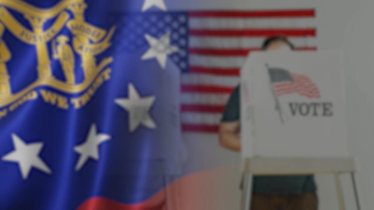 Georgia election officials confirm AI bot accessed public voting data