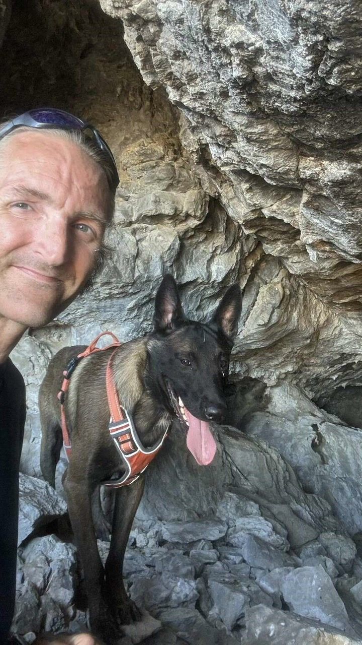 Austin dog held 500 days isolated as his owner fought to save him
