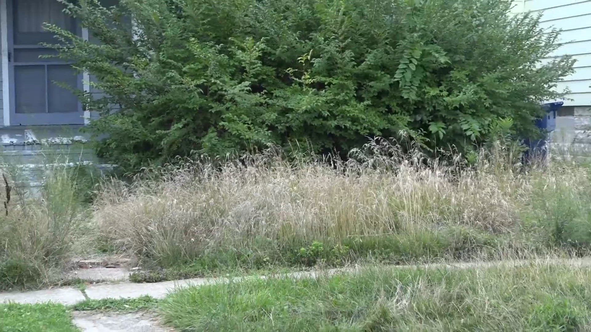 Council members want to know what happened to clean sweep program
