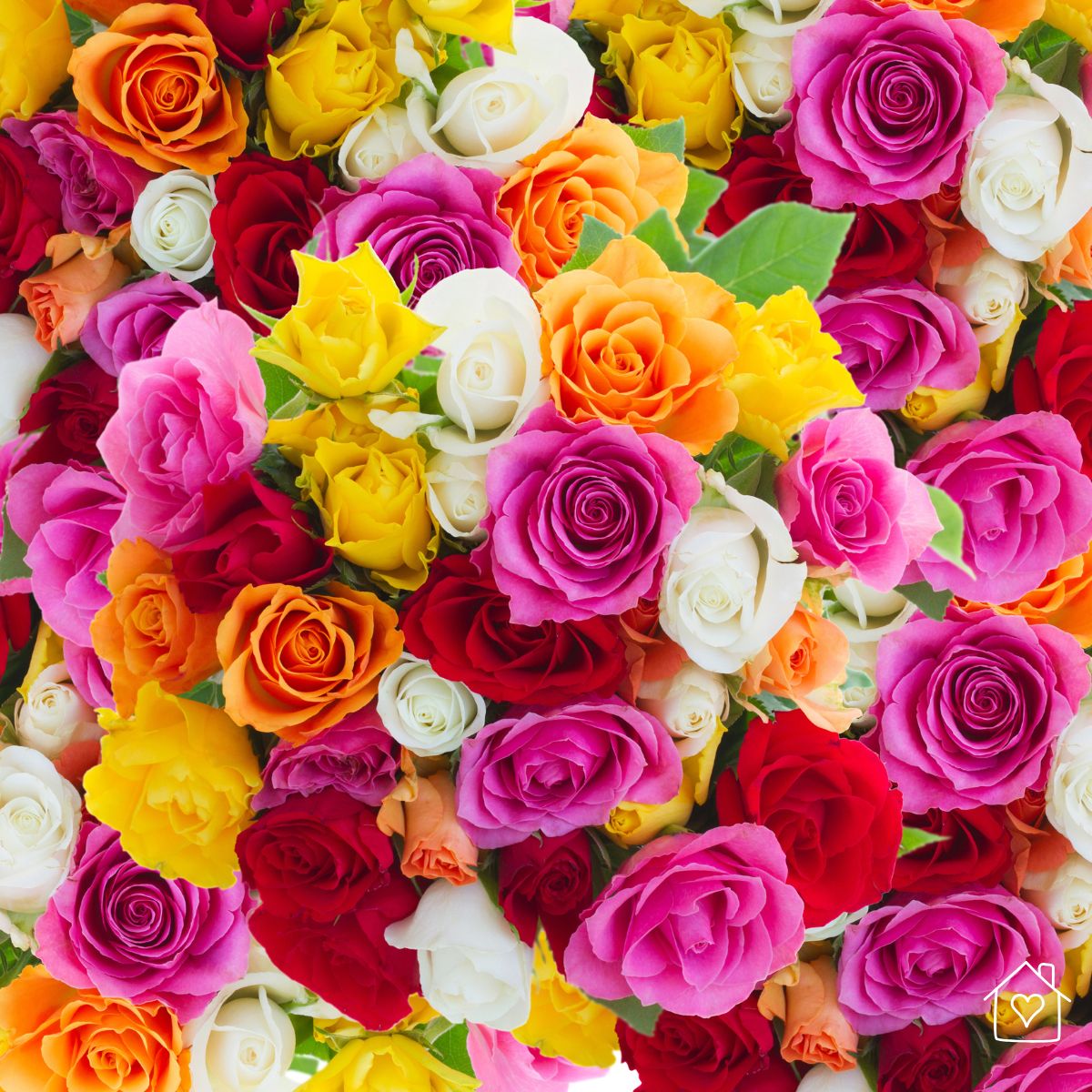 fresh-rose-arrangements-that-add-color-to-everyday-home-d-cor