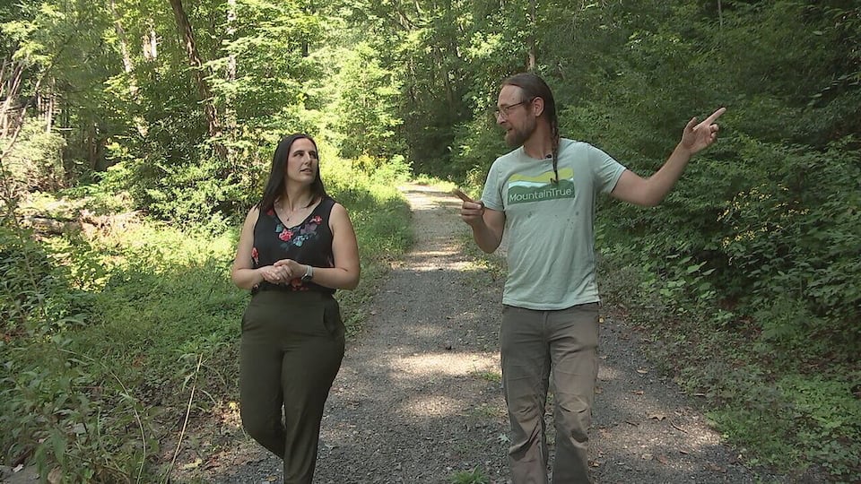 Environmental groups push back on planned removal of federal forest ...