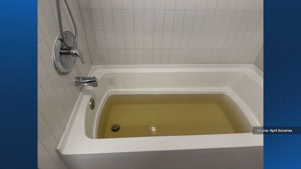 E coli detected in water supply at Osceola County’s Maxwell at Xentury City