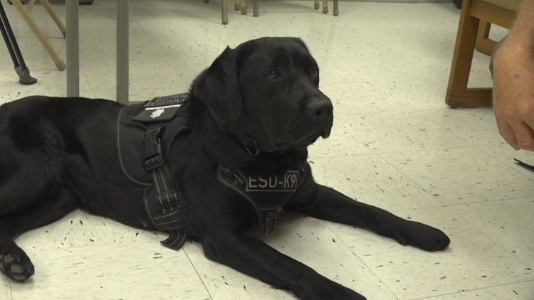 Carroll County Sheriff's Office welcomes new K9 trained to find electronic devices