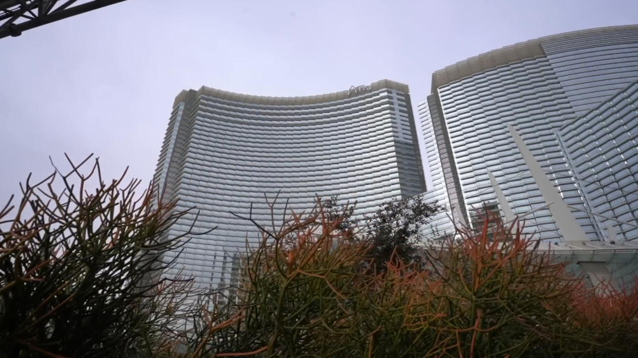 Why Aria Las Vegas remains a top hotel choice