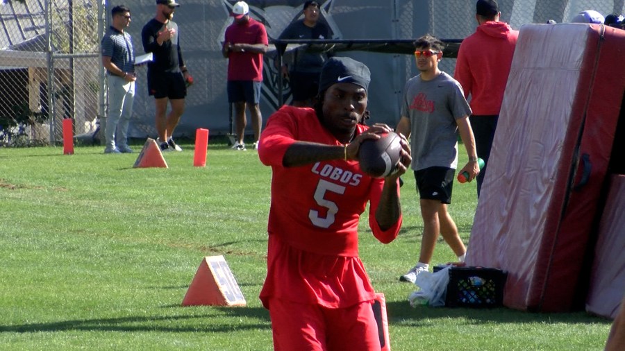 The well-traveled Troy Omeire adds experience to a young UNM receivers room