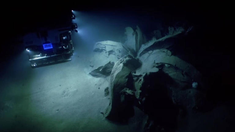 La estructura encontrada por el ROV submarino (NOAA Ocean Exploration)