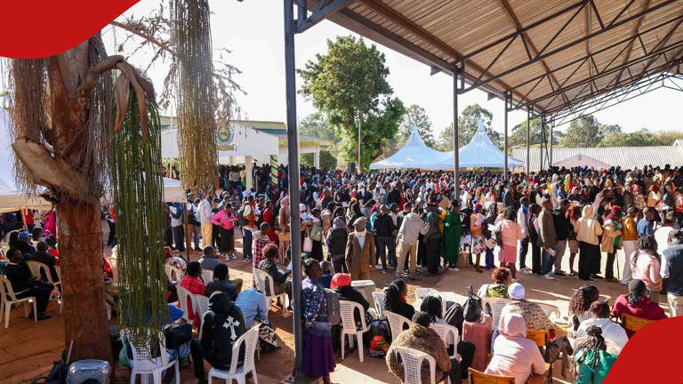 Meru University of Science and Technology advertises 42 jobs for Kenyan ...