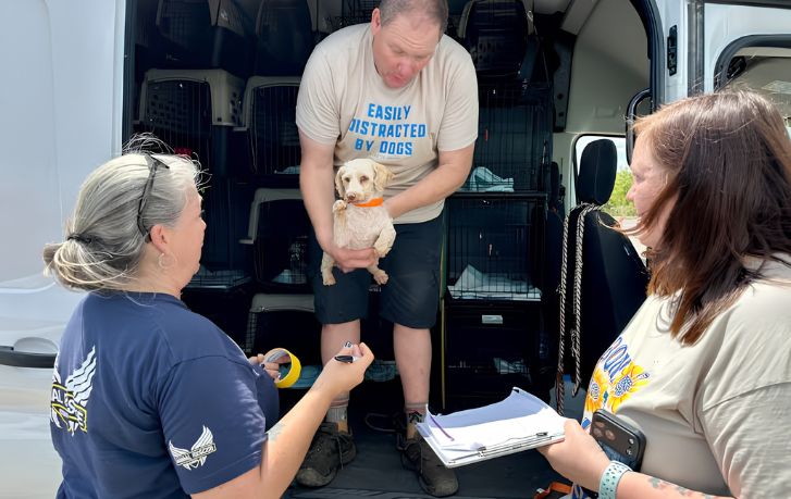 ARC brings 86 Missouri breeding dogs to Tennessee for recovery