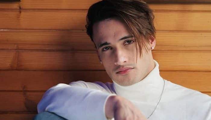 'Yes, I do': Asim Riaz responds to Rubina Dilaik, Hina Khan’s comments ...