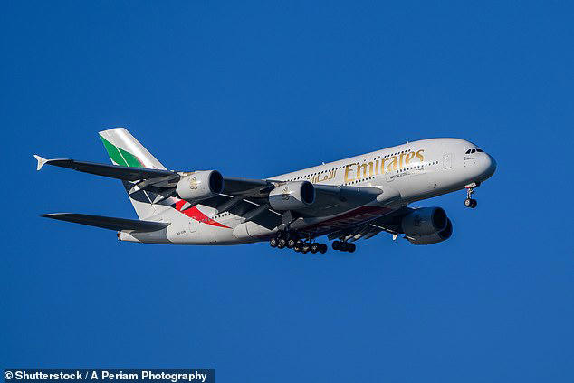 Plane passenger is tackled and bound on flight to Sydney after alleged aggressive behaviour