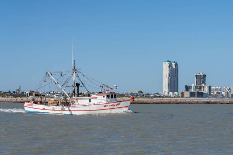 Trump administration vows to bring 'common sense' back to fishing laws