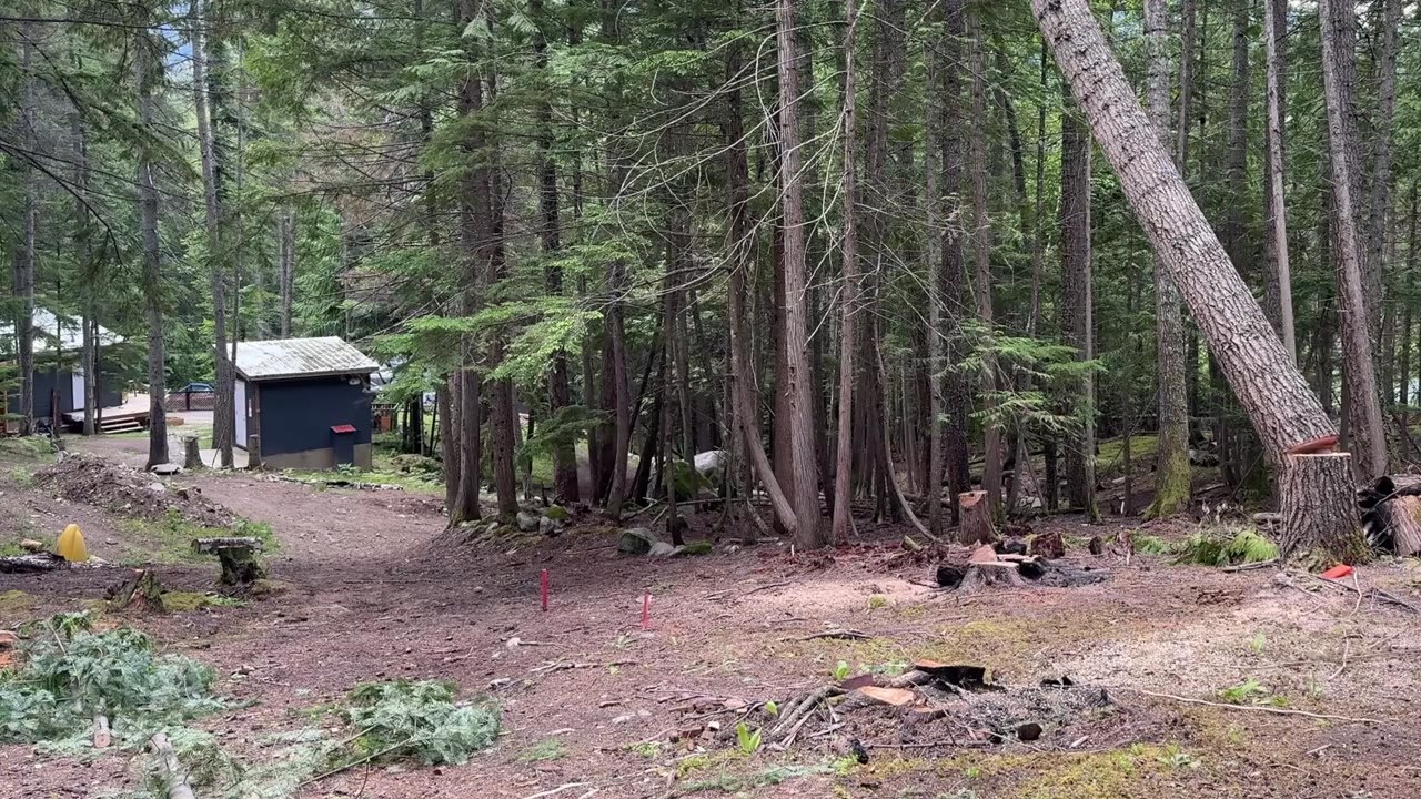 They picked a spot for their future home in the forest... then a 100 ...